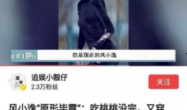 风小逸最新爆料,揭秘娱乐圈最新热点事件